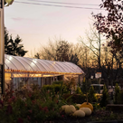 Preservation, Reinvention, and Rebirth with Modern Homestead