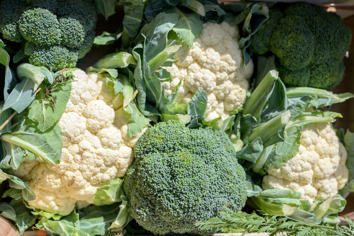 What Are Cruciferous Vegetables — and Why Are They So Good for You