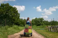 Comment la ferme Lucky Bug cultive des aliments dans un souci d’équité et de durabilité