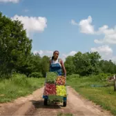 Comment la ferme Lucky Bug cultive des aliments dans un souci d’équité et de durabilité