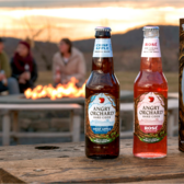 How the Boston Beer Company Easily Launched an Online Store