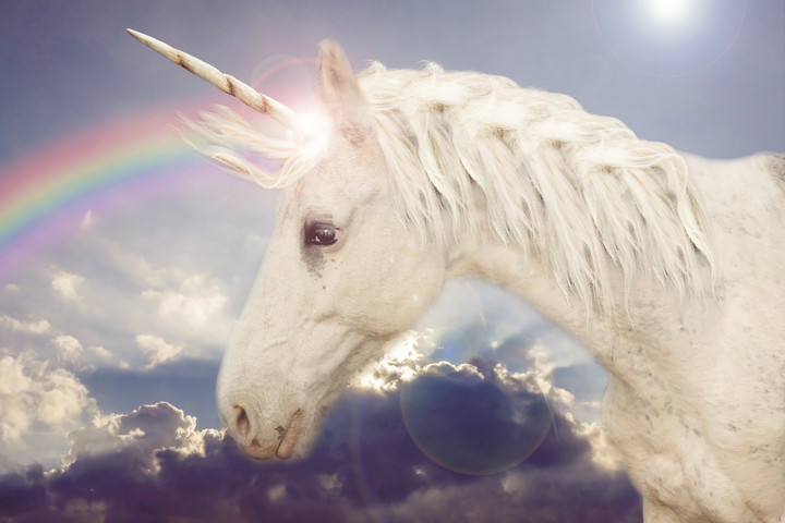 Are Unicorns Ready for Their Close-up?