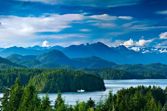 B.C. Labour Laws: Everything Your Small Business Needs to Know