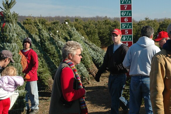 Interview Questions You Should Always Ask Seasonal Help