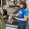 How to Start a Pet Grooming Business