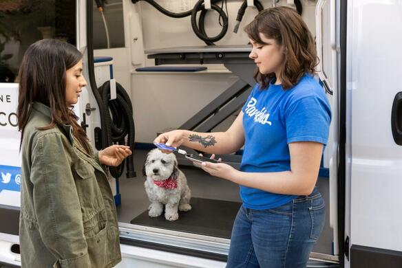 How to Start a Pet Grooming Business