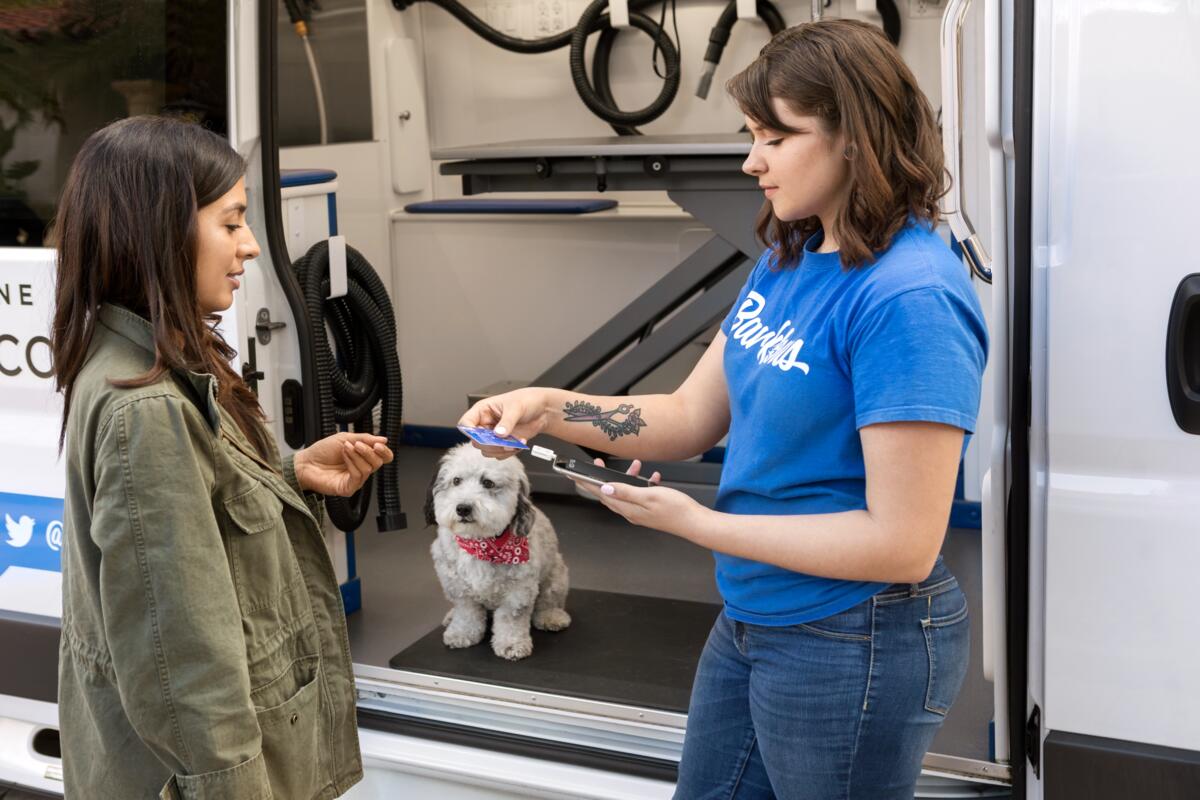 View of How to Start a Pet Grooming Business | Square