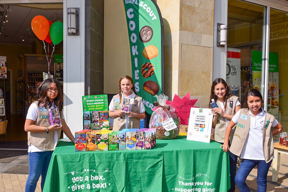 How Selling Cookies Teaches Girl Scouts Valuable Business Skills