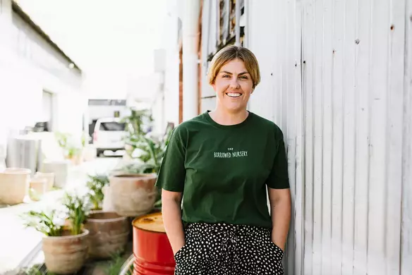 Spreading greenery in homes, offices and venues across Queensland
