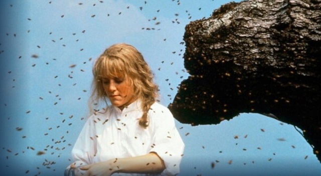 alt="Fried Green Tomatoes.jpg"