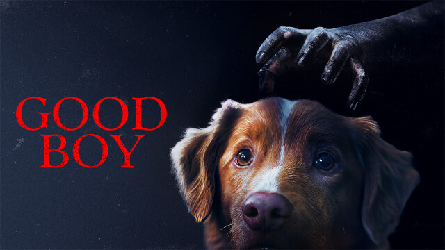 alt="Good Boy title in red letters next to a scared dog with a creepy hand hovering over its head"