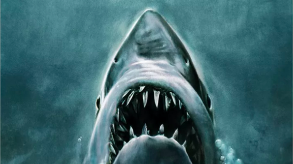 The Top 4 Jaws Movies of All-Time