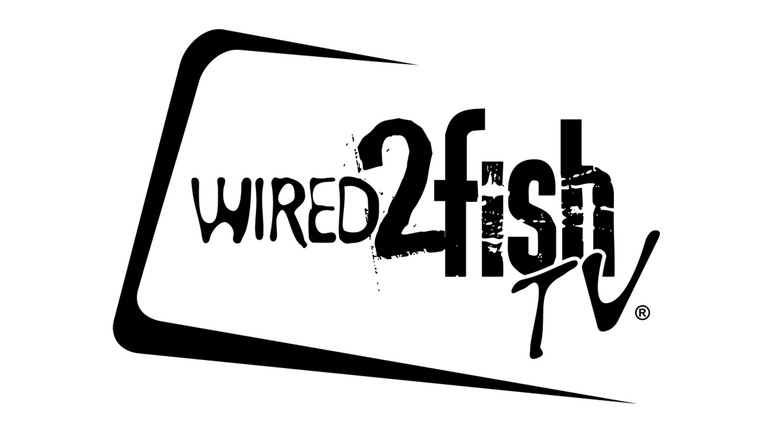 Wired 2 Fish TV: Reel in the Excitement of Fishing