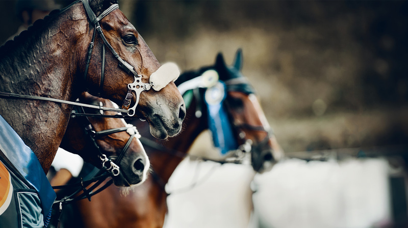 How Showing the Triple Crown Gives Your Competition a Run for Their Money