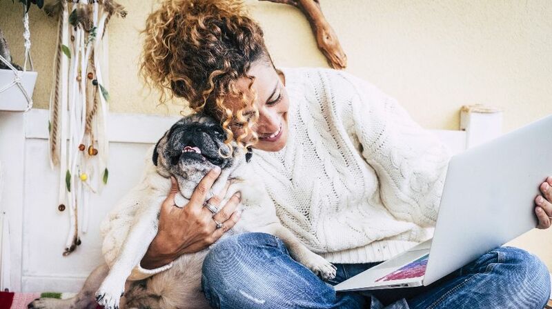 Top 10 best Christmas movies to snuggle up to this holiday season